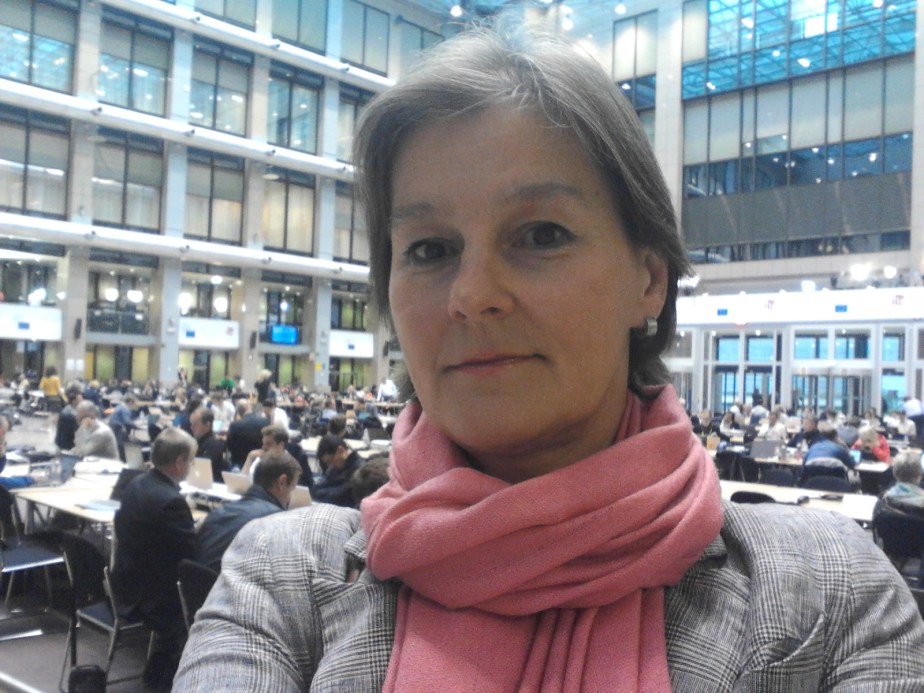 tmp_20150713_063419-341934735