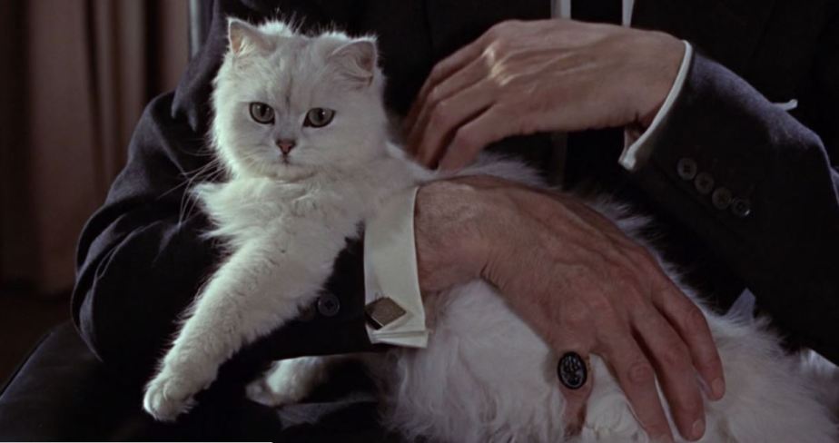 #Skripal’ assassination omitted&nbsp;truth