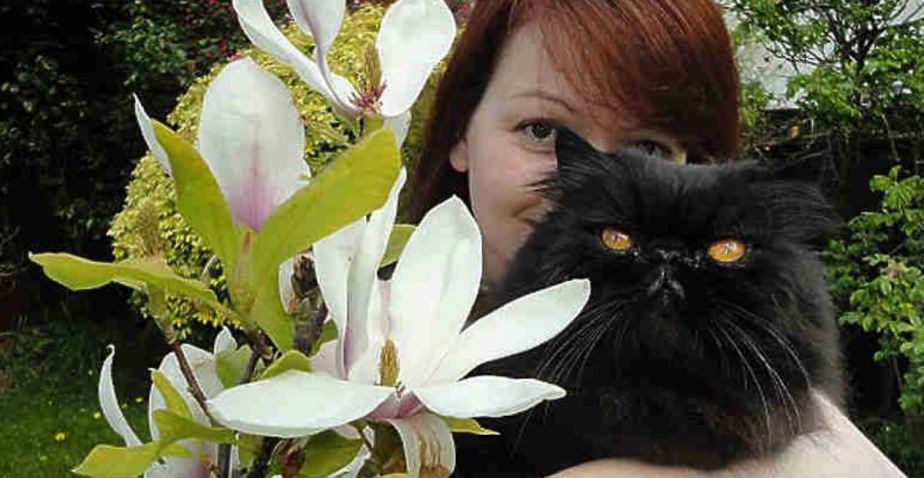 Skripal black cat