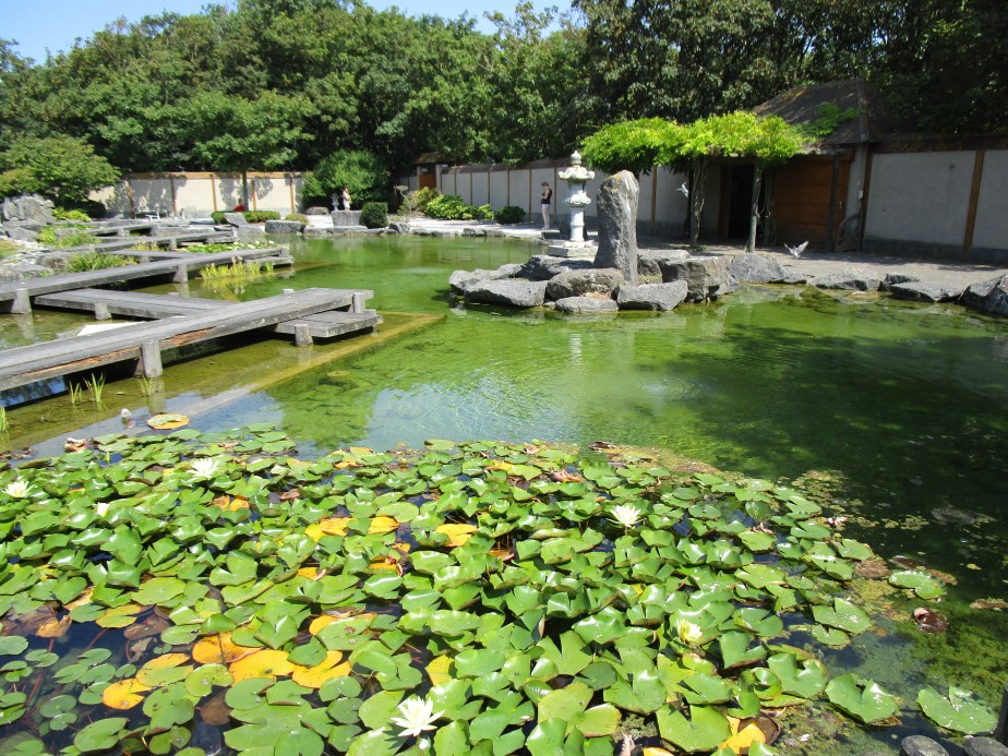 Oostend: Japanese garden