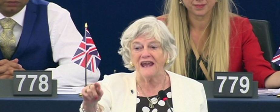 Europarl: Ann Widdecombe&nbsp;furore